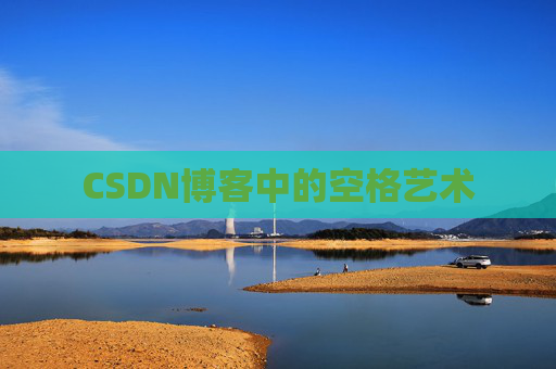 CSDN博客中的空格艺术